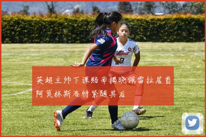 英超主帅下课赔率揭晓佩雷拉居首阿莫林斯洛特紧随其后